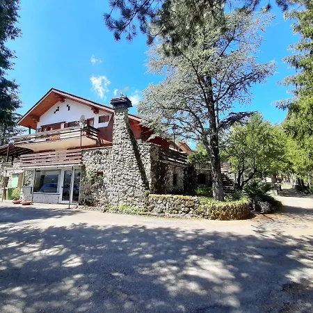 Orso Bianco Pescasseroli