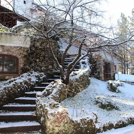 Orso Bianco Pescasseroli