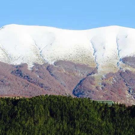 Hotell Orso Bianco 3*