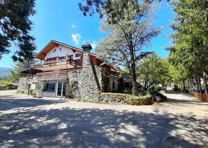 Orso Bianco Pescasseroli