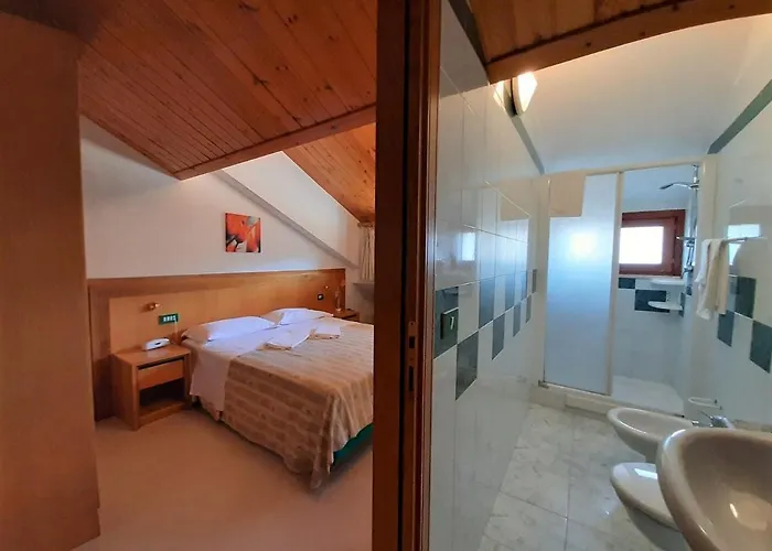 Orso Bianco Pescasseroli