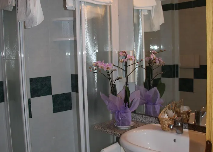 Hotel Orso Bianco 3*