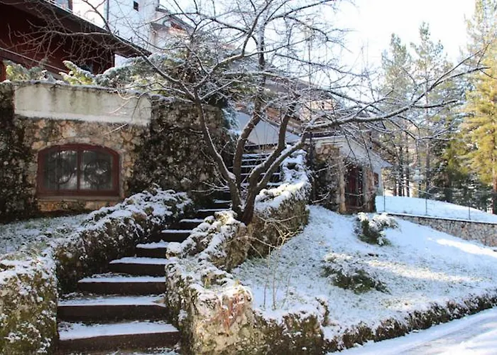 Orso Bianco Pescasseroli