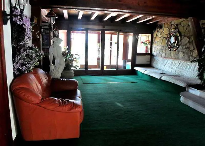 Orso Bianco Pescasseroli