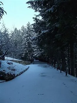 Отель Orso Bianco 3*