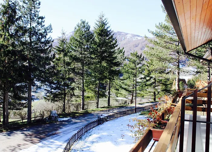 Orso Bianco Pescasseroli