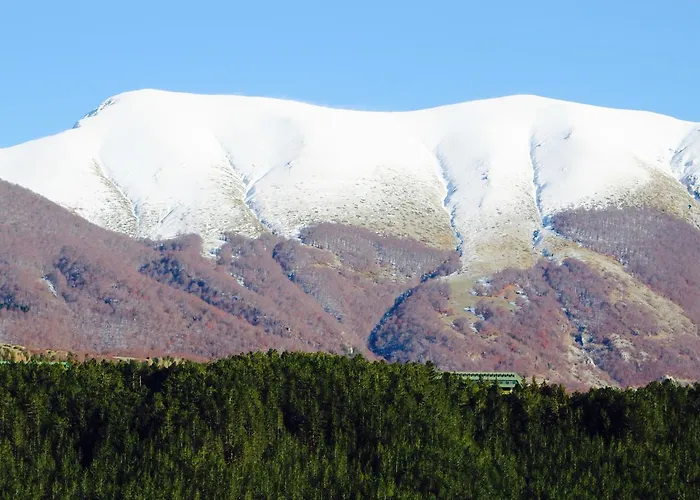 Отель Orso Bianco 3*