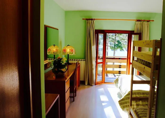 Orso Bianco Pescasseroli